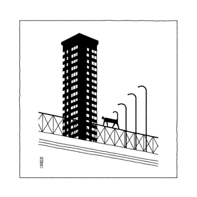 Producto Cats Are Paradoxes / Farolas